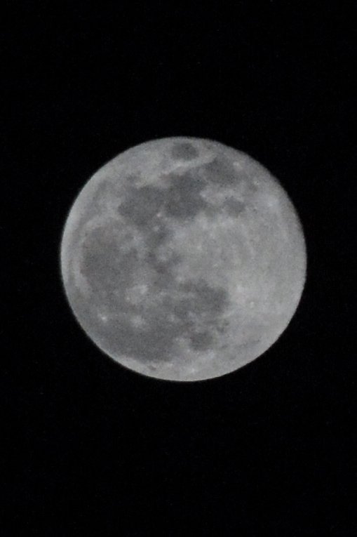 photographar Janu tweet media