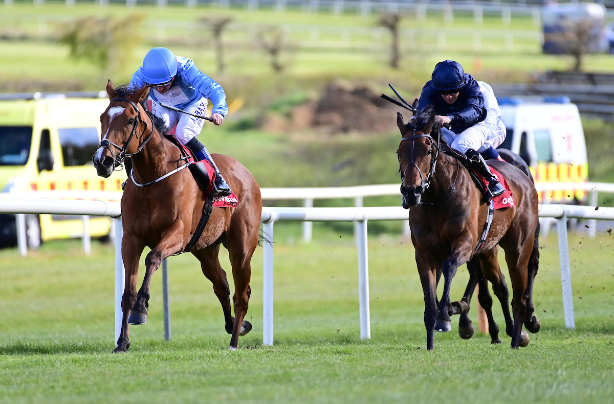 Stack_Racing's tweet image. Too Soon To Panic Records Impressive Stakes Win at Gowran Park... bit.ly/2RwgtAB #StackRacing