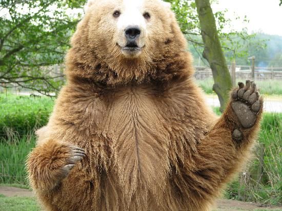 AppSec_Village's tweet image. Yo @NonameSecurity @onapsis @PortSwigger @RefactrIT @RogueWaveInc @SonarQube @sonatype did you know that we are hosting a #AppSec Sandbox with great #applicationsecurity and #apisecurity content at #RSAC? Slide into our DMs to see how you can get involved buff.ly/2R07gAp