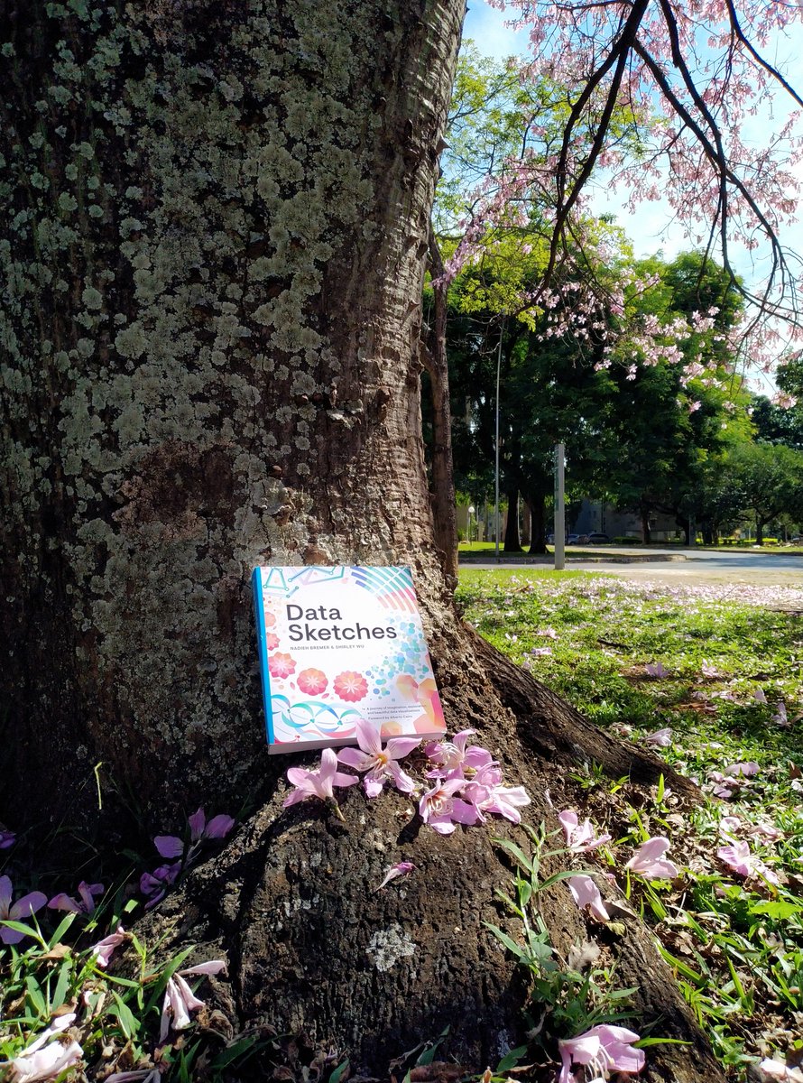 <a href="/datasketches/">Data Sketches</a> Mine arrived in Brasília just in time to catch our beautiful "Paineiras Barrigudas" bloom 🤩 🌸🌳♥️.
