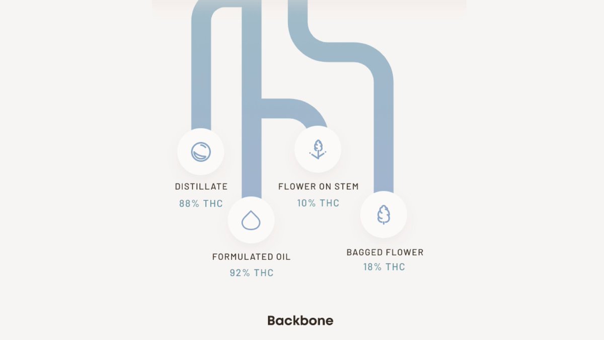 BackboneSuccess's tweet photo. End-to-end tracking with @backbonesoftware empowers you to create consistent products, improve yields, and share data with partners to build trust. Let us show you at a free demo with our team! Register at https://t.co/MuzsDEYz8Z.
#backbonesoftware #cannabistech #cannabis #hemp https://t.co/SU1LhmOsKk