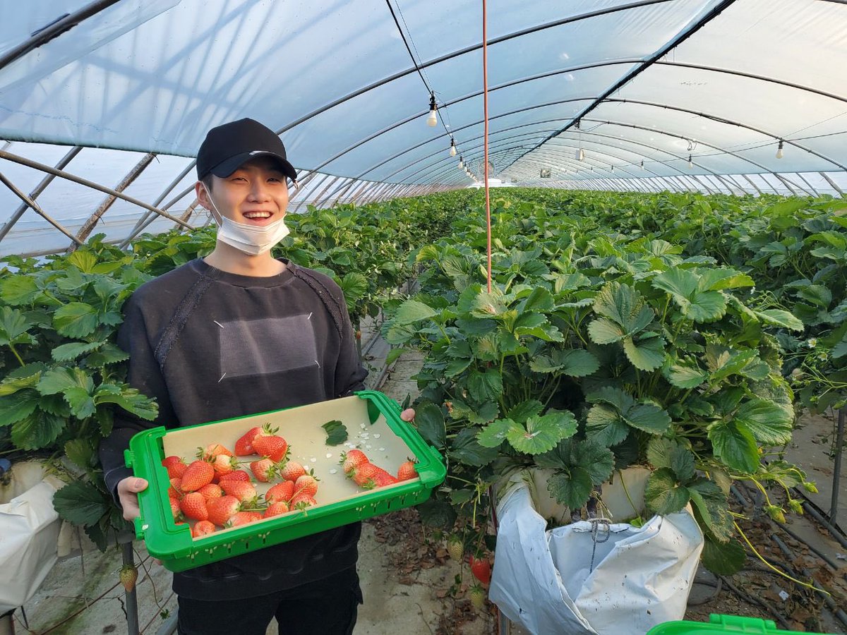 Strawberry picking, walking the dog, making music and having a wine and dine at home  #BestFanArmy  #BTSARMY    #iHeartAwards  @BTS_twt