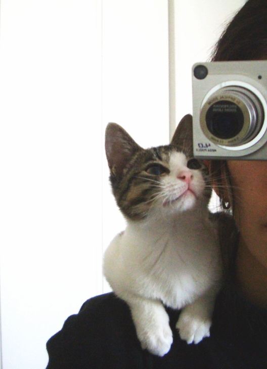 Mirura ちびへの沢山のお悔やみの言葉 本当にありがとうございました 長いのでブログのコメント欄にて T Co G6r1yldmqt T Co Mccul6shcw Twitter