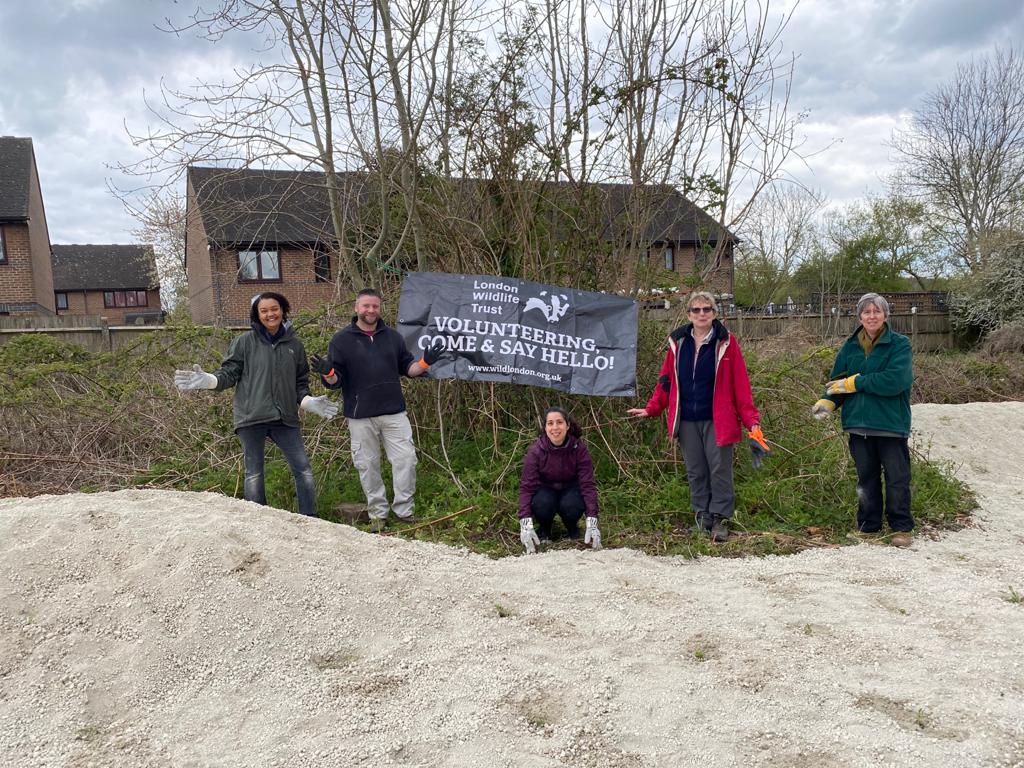 Steve Bolton (@bc_bolton) on Twitter photo #BrilliantButterflies transform access to Hutchinson's Bank nature reserve from overgrown bramble and litter to butterfly bank! Seeded and planted with help of local volunteers. <a href="/savebutterflies/">Butterfly Conservation 🦋</a> @WildLondon #BrilliantButterflies transform access to Hutchinson's Bank nature reserve from overgrown bramble and litter to butterfly bank! Seeded and planted with help of local volunteers. <a href="/savebutterflies/">Butterfly Conservation 🦋</a> @WildLondon