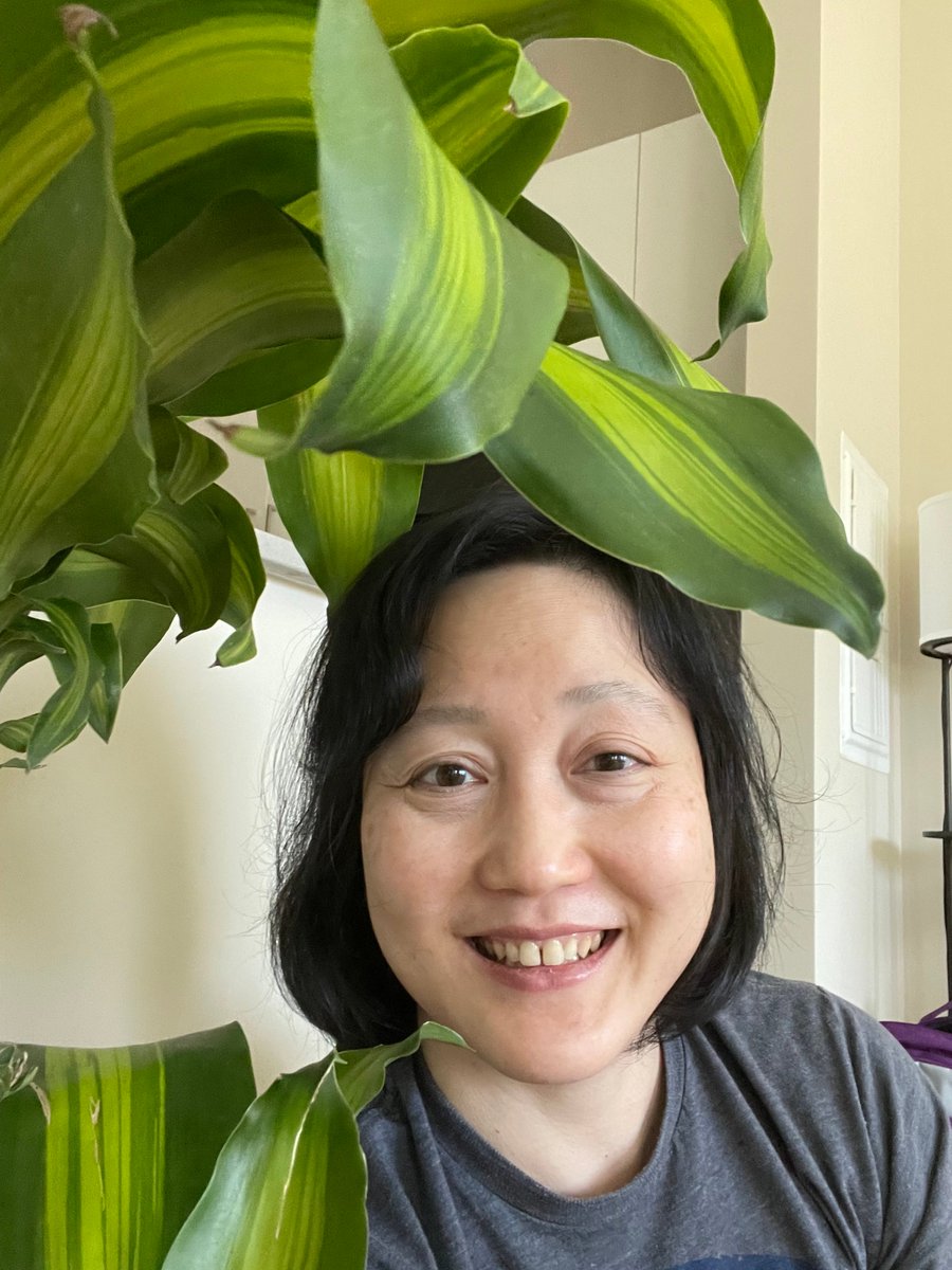 Today is two weeks post my second Moderna shot, which means I am fully vaccinated!!! I celebrated by getting a haircut for the first time since the pandemic, and buying a house plant. #GetVaccinated 

How it started                                     vs    How it's going