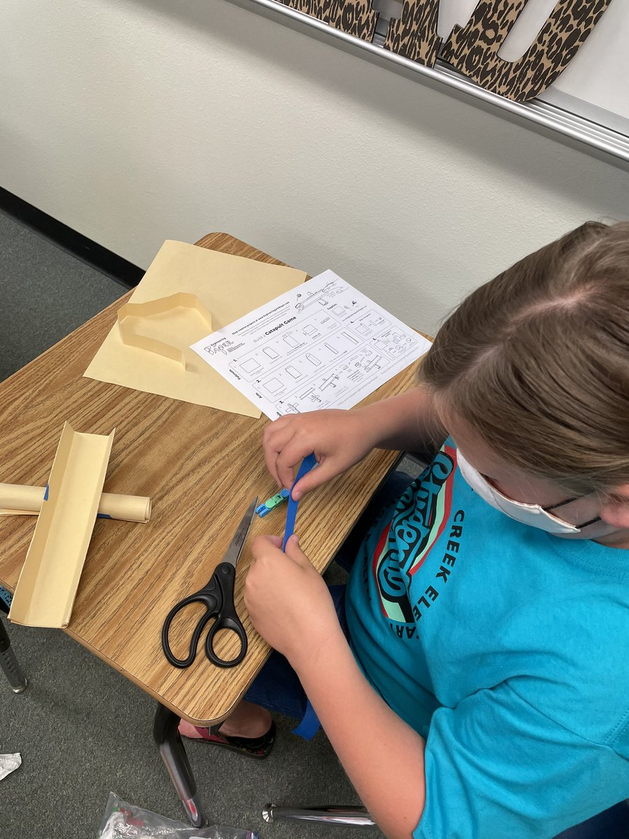 Sarah Elbers tweet media