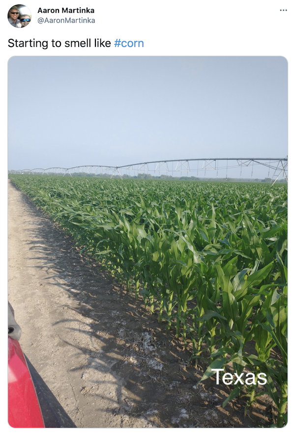 FarmTank's tweet photo. FarmTank Tweet of the Day!

Congrats to @DanAllred1 @rosscwinton @AaronMartinka and @texan40 for being featured in @KevinVanTrump report! 

#FarmTank #FarmTankFriday #VTR #Corn #Agriculture #Soybean #AgTwitter #wheat #plant21 @JVTknows https://t.co/AsASJAdlWM