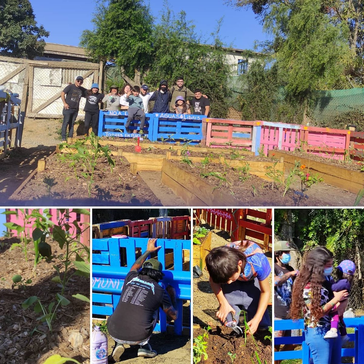 El Puente de calle Bélgica en Nuevo Placilla era un dolor de cabeza constante para vecin@s por la cantidad de basura que se acumulaba. Ya no bastaba con limpiar

Junto a l@s vecin@s nos organizamos para levantar una huerta comunitaria.

#placilladepeñuelas
#curauma
#Valparaiso