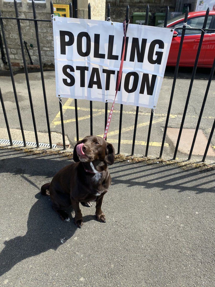 Charliecat74's tweet photo. Had to be done 😁🐶🐾🗳 #DogsAtPollingStations https://t.co/GOLHZjpFDL