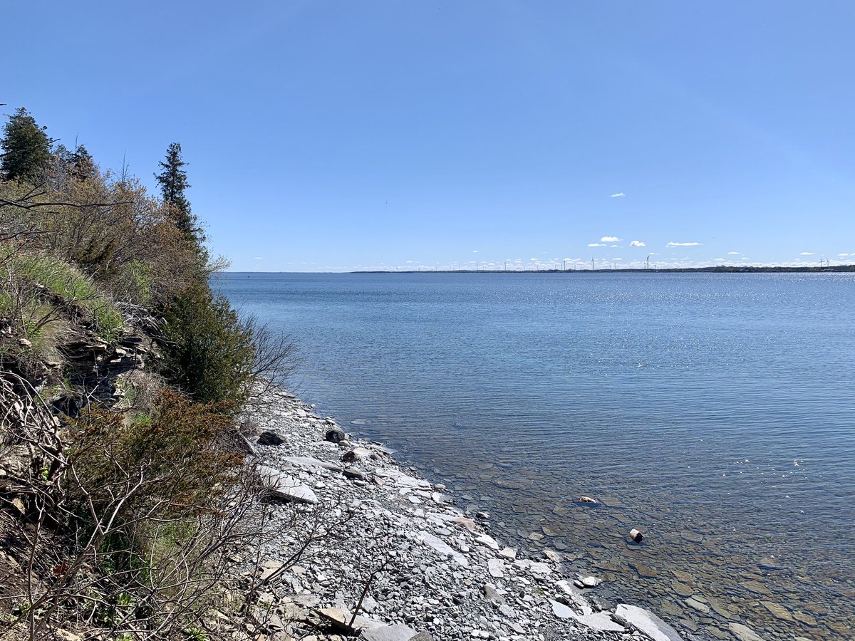 Bright sunny morning now🌞