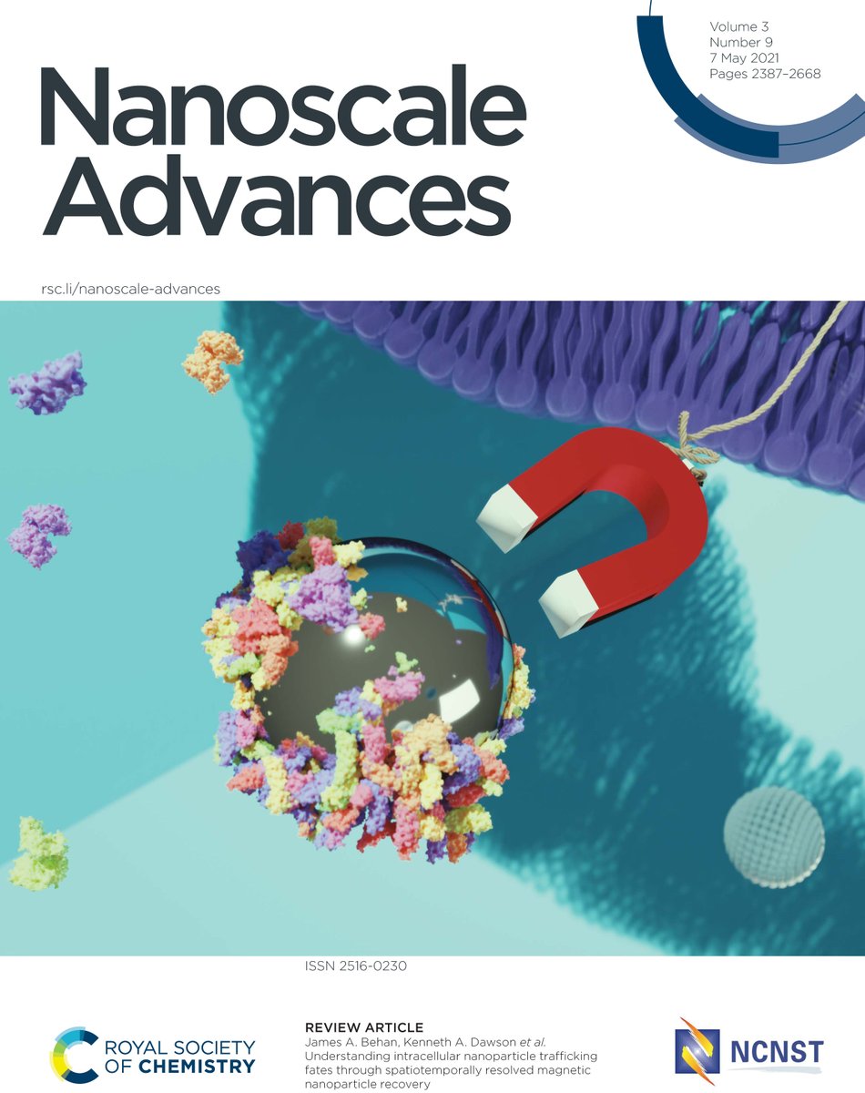 CBNI | UCD (@cbni) on Twitter photo Our perspectives piece features as cover story in the latest issue of #NanoscaleAdvances - Enjoy reading and sharing!
pubs.rsc.org/en/content/art…
#magnetic extraction of #nanoparticles to study #cellular #interactions - challenges in #nanomedicine <a href="/ucdchemistry/">UCD Chemistry</a> <a href="/UCD_Research/">UCD Research</a> Our perspectives piece features as cover story in the latest issue of #NanoscaleAdvances - Enjoy reading and sharing!
pubs.rsc.org/en/content/art…
#magnetic extraction of #nanoparticles to study #cellular #interactions - challenges in #nanomedicine <a href="/ucdchemistry/">UCD Chemistry</a> <a href="/UCD_Research/">UCD Research</a>