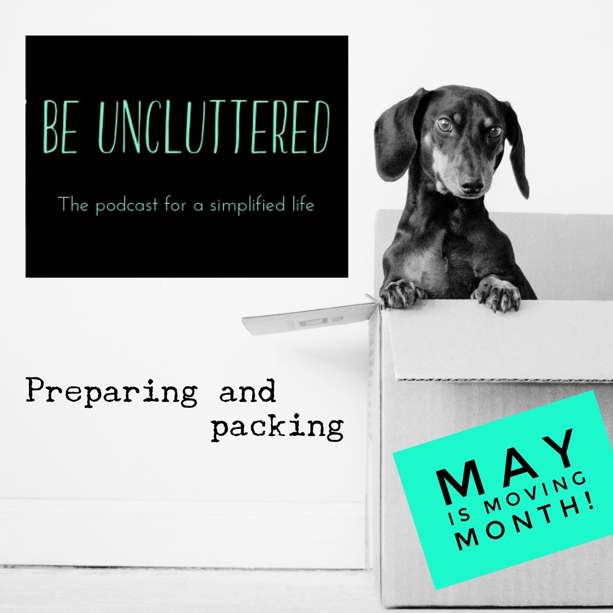 May is moving month! This week - prepping and packing!
#podcast #movinghouse #packing #beuncluttered