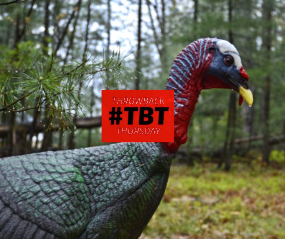 OODMag's tweet photo. Bad weather turkey hunting tips to give you the advantage.  https://t.co/gEekH7492L

#TBT #ThrowBackThursday #Rain #RainRainGoAway #Hunting #Hunt #Outdoors #HuntingTurkey #WildTurkeyHunting #TurkeyHunter #GobbleGobble #Hunter #Turkey #TurkeyHunting #TurkeySeason https://t.co/beEPXkkr6h