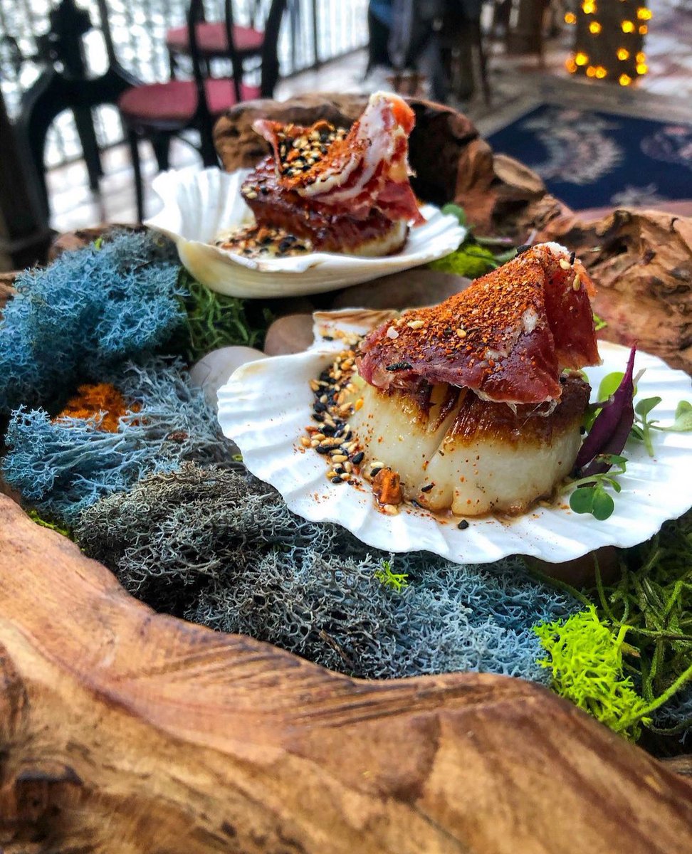 Oh shell yea... Book your lunch on the 𝓡𝓲𝓿𝓲𝓮𝓻𝓪 at BeatnikOnTheRiver.com 🐚 

photo: @lexeatsworld