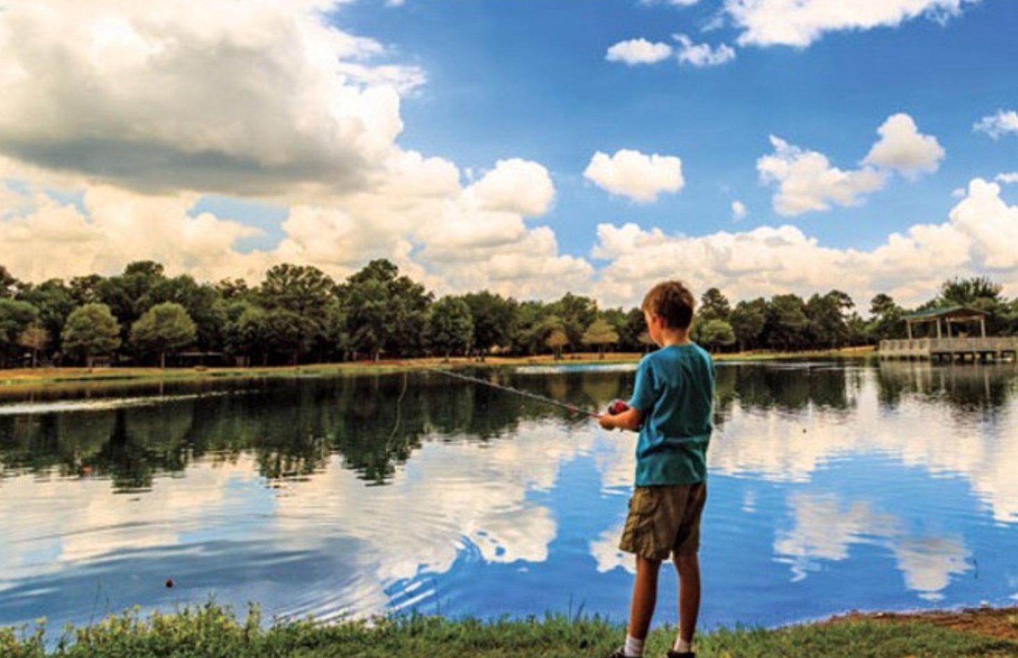 Katy Magazine, Katy TX on Twitter "FISH IN KATY! That fish dinner