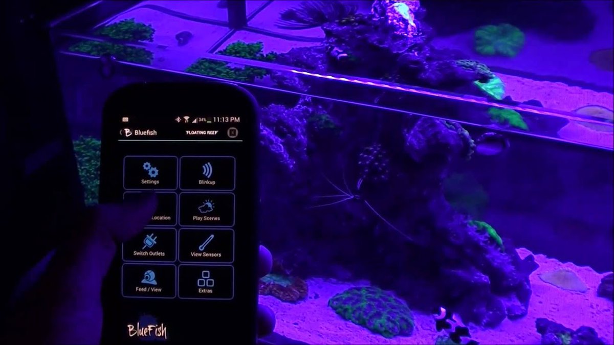FlakeFood's tweet image. Aquariums: iPhone/Android Aquarium ...
#AndroidSoftware #IPhoneMobilePhone #LedLighting #ReefAquarium
flakefood.com/316150/aquariu…