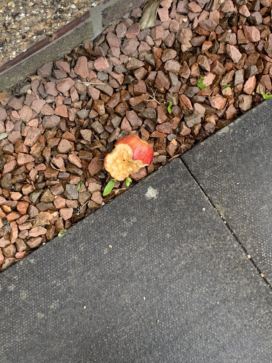 alighirl77's tweet image. Out doing gotv &amp;amp; saw this 👀 I know how this story ends.#BothVotesSNP 
#humzaforpollok