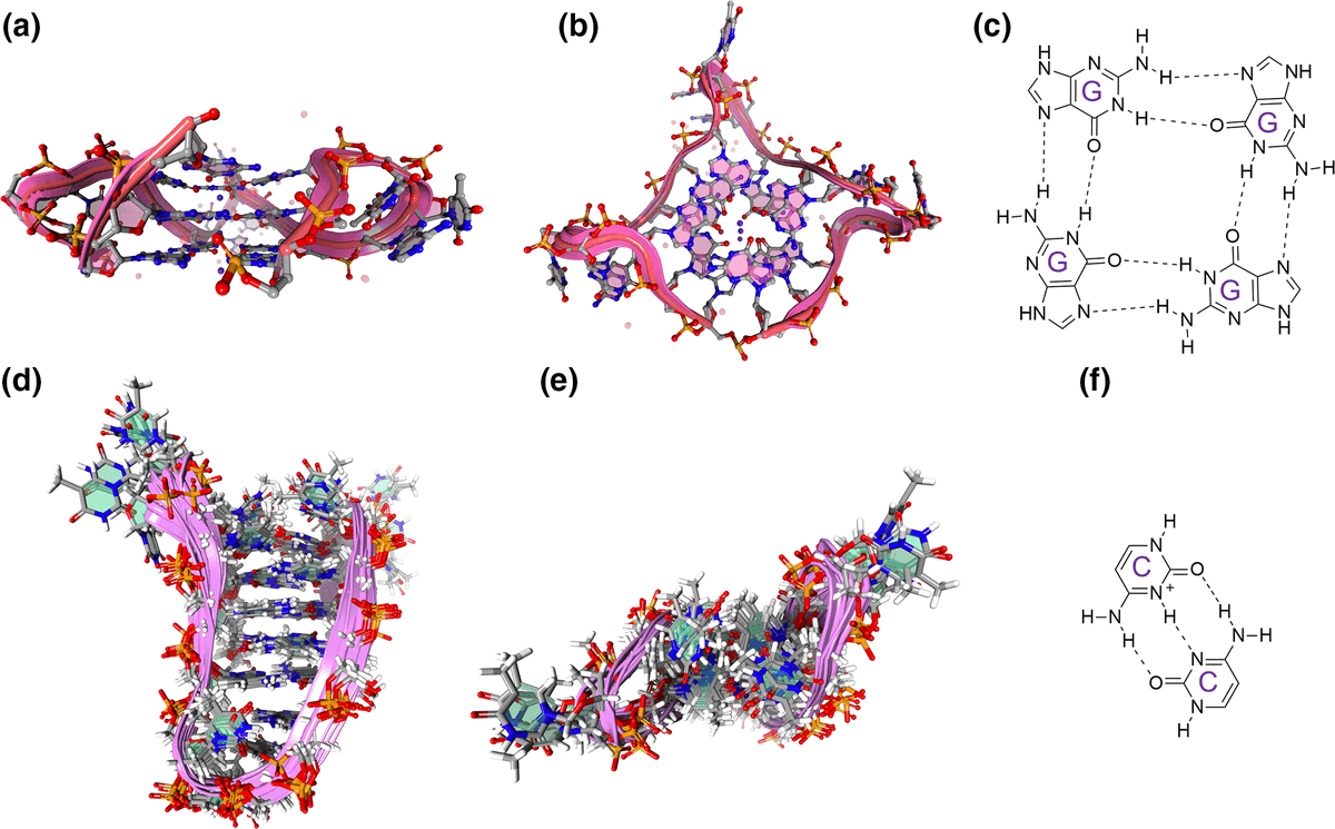 DNA&RNA Universe 𝕏 tweet media