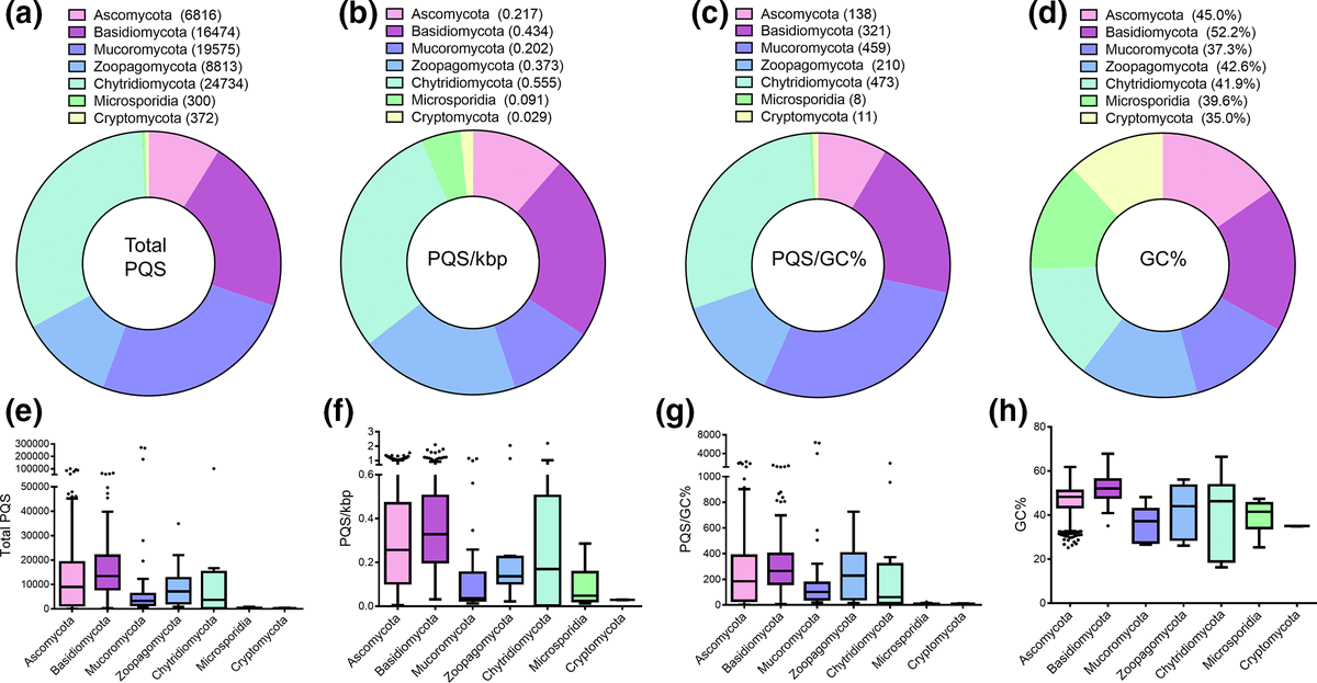 DNA&RNA Universe 𝕏 tweet media