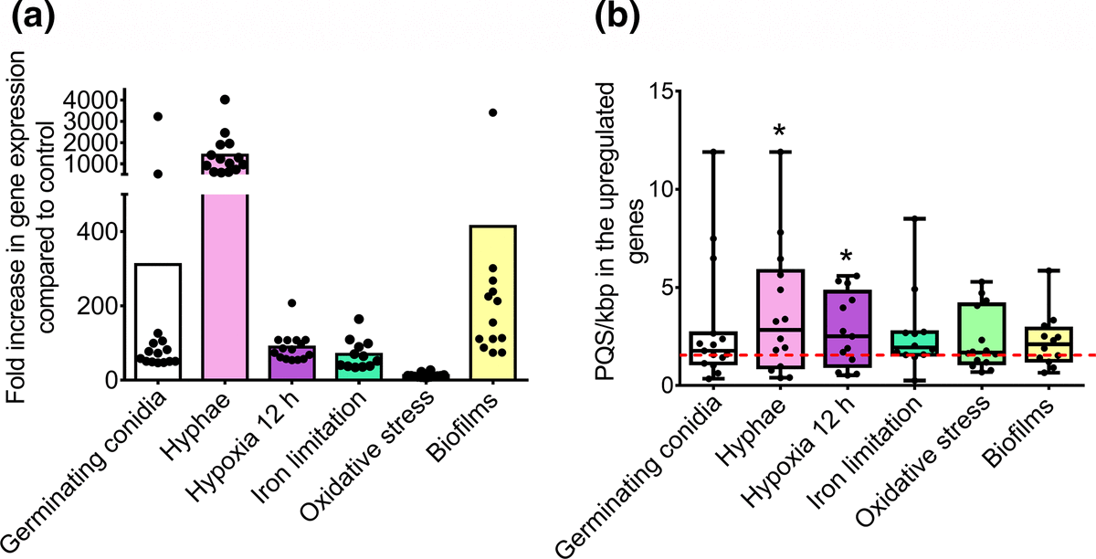 DNA&RNA Universe 𝕏 tweet media