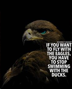 MandieG_MacRaye's tweet image. Morning! 
Another way of saying #stopgroupthink and #thinkforyourself with an #OpenMind 

Don&apos;t be afraid to leave the comfortable pond to be a winged creature and trail blazer!