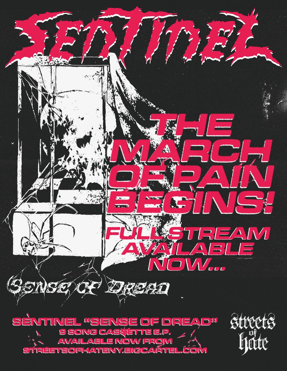 New band out featuring members of Mindforce, Restraining Order, Age of Apocalypse, and Mutually Assured Destruction.

Check it out here: sentinelsenseofdread.bandcamp.com/album/sense-of…