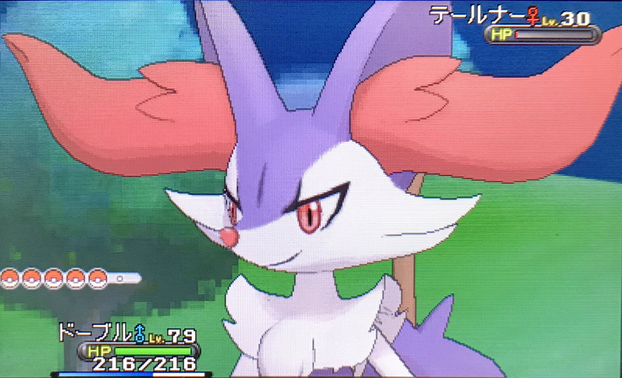 アマネ ﾎﾟｹﾓｿさん フレンドサファリで色テールナーが出てくれました 紫になる色違いはあやしげで好きだな おくびょう 夢特性は面白い戦い方ができそうでテンション上がりました 515回目でした T Co Ysbxcxuvki Twitter