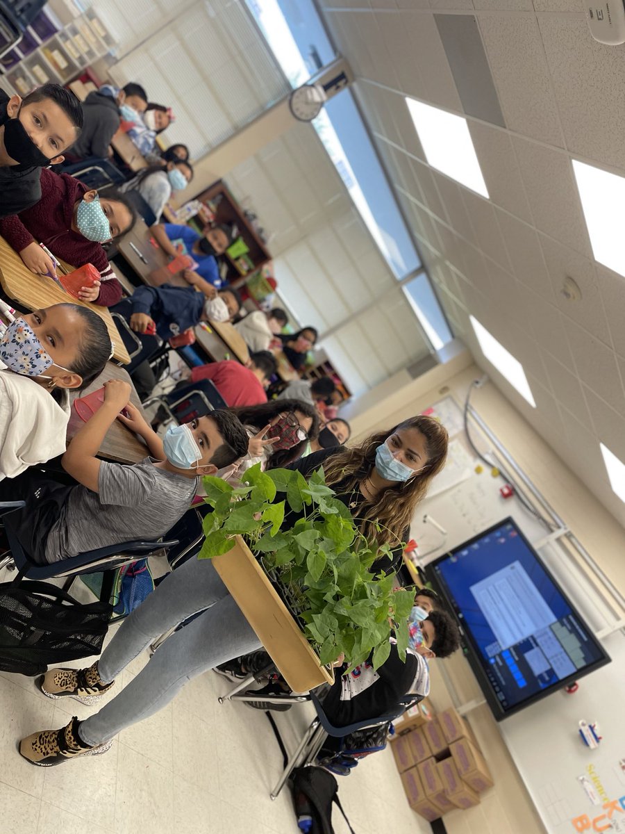 ⁦@Elizabe04104127⁩ has her students transfer their young plants 🪴 into bigger containers to take home for Mother’s Day surprises. 😍💝 Do you think they’ll form flowers as mature adult plants? 🤔 ⁦@GoodmanES_AISD⁩ ⁦@STARS_902⁩ #AldineAnywhere