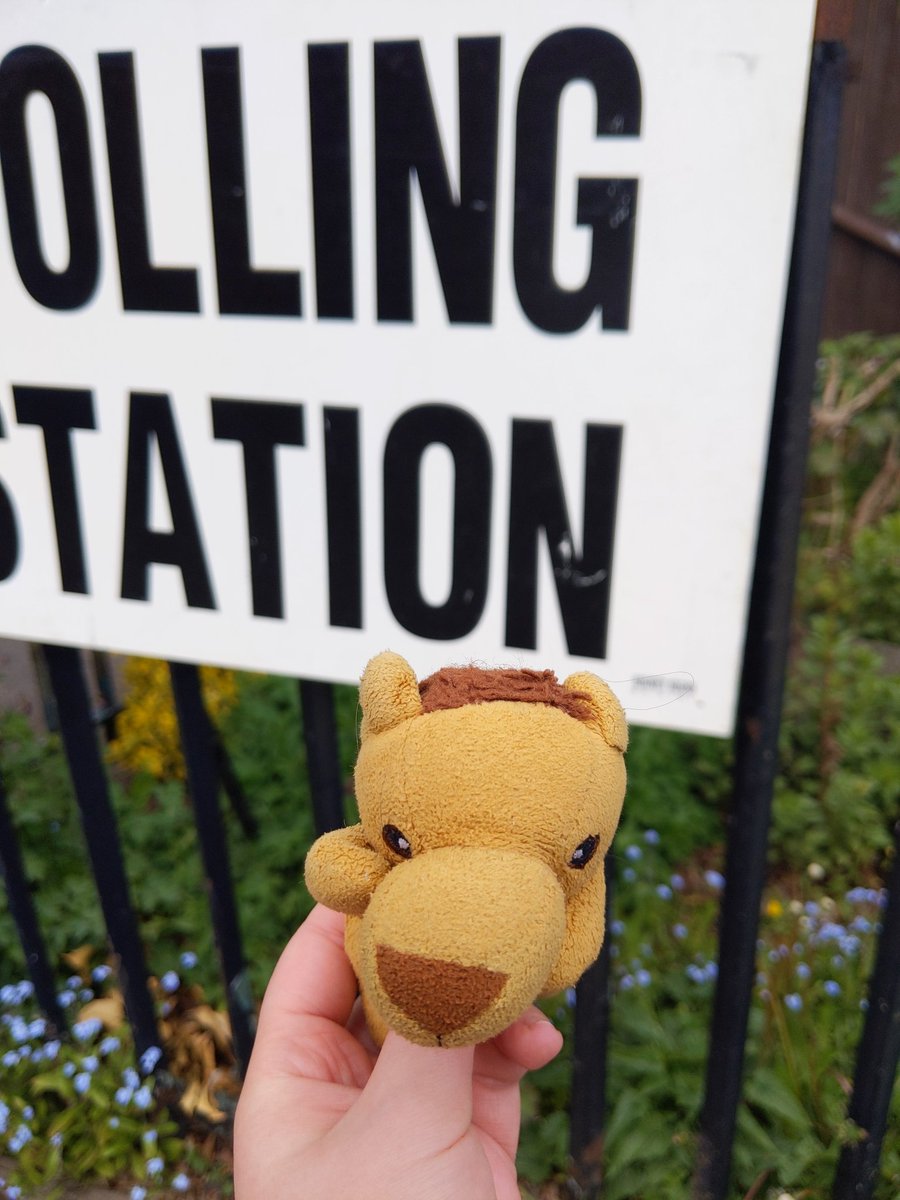 #lionsatpollingstations