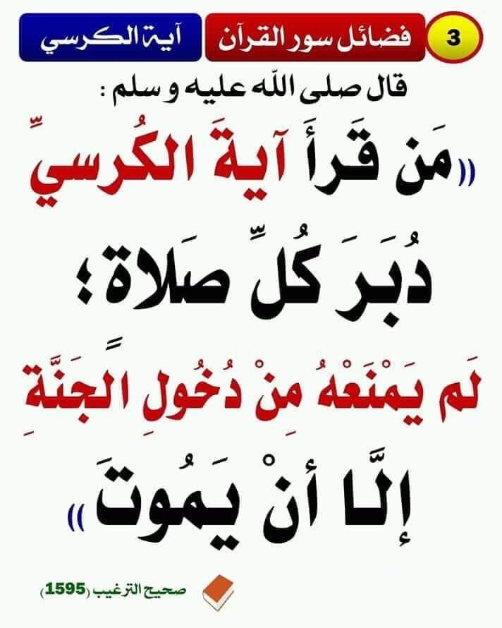 MUSTAFA A (@mostafa95928018) on Twitter photo 