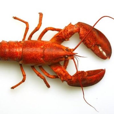 falteregoist's tweet image. #YeniProfilResmi