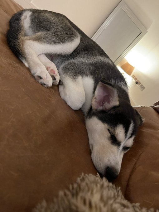 He sleeps.... FINALLY ❤️ https://t.co/WovGbzIU2H<a href="/tag/onlyfans"class="tags"><span>#onlyfans</span></a>