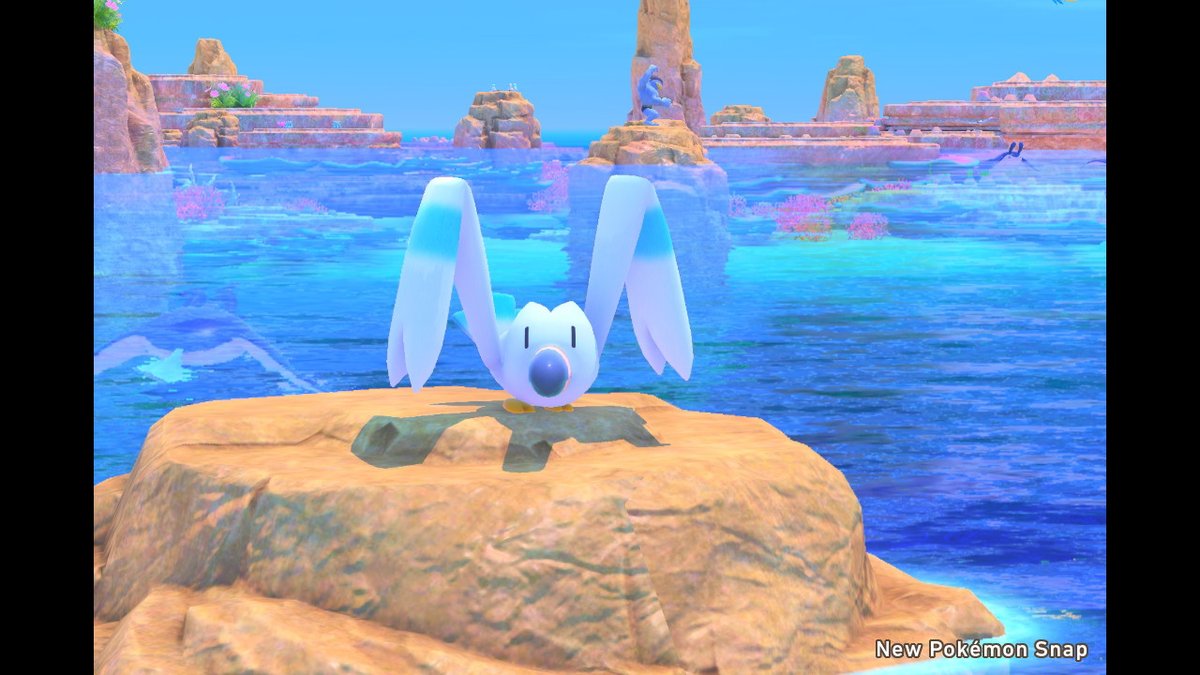 Monimena's tweet photo. #NewPokemonSnap #NintendoSwitch https://t.co/Mfw2j7VaHc