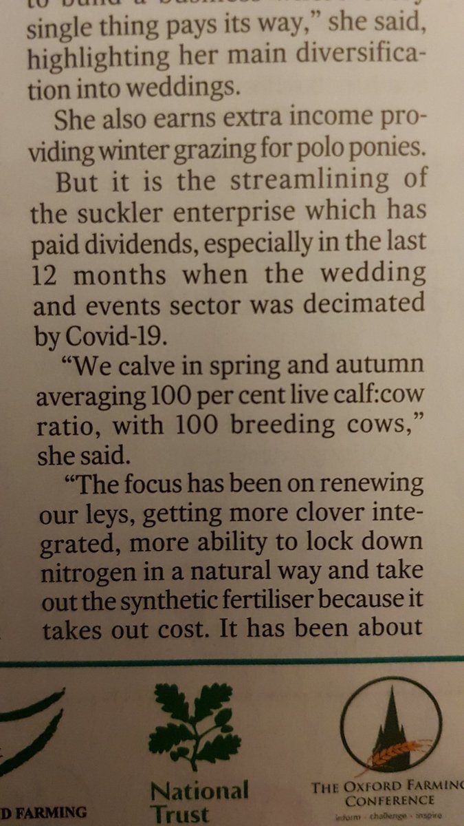 Average 100% calving! Interested to hear what suckler farmers think to this? 🤔