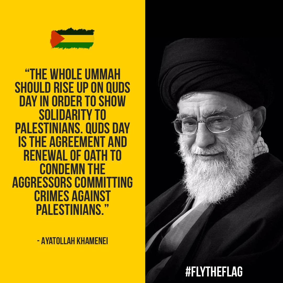 Fly the Flag for Palestine. tweet media