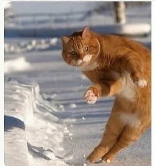 Crosseyednerd's tweet image. Bruno                         Cavani 
#ROMMUN