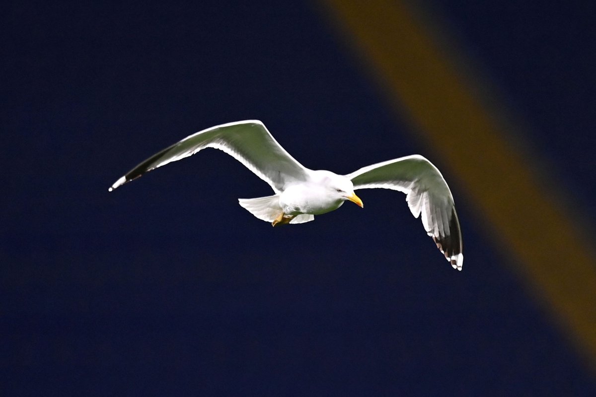 i3merz's tweet image. #MUNROM