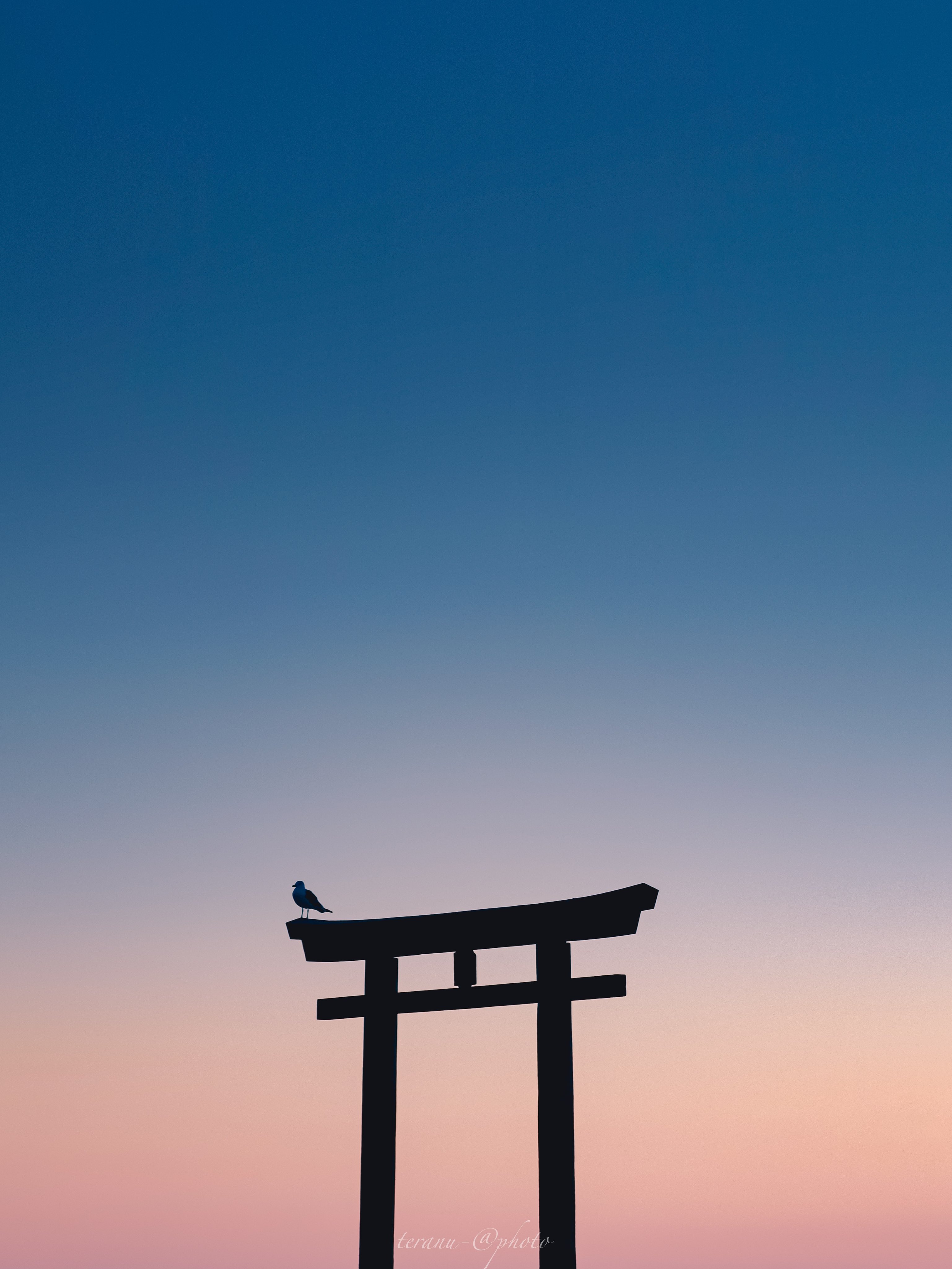 てらぬー Auf Twitter 壁紙のような神磯の鳥居です 縦長が表示されるようになったから縦画像1枚で勝負する T Co Nutic4utwo Twitter