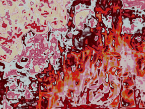 noctiveart's tweet photo. My first collection @terra_virtua 'Recurrences' is listed now! It includes five 2D animations. 'Rustic Fire' is already collected by dear 'mungo'. I'm super excited and happy 💚
Link --> https://t.co/0CF8zeVbUa
They can also be viewed at 3D Art Gallery and VR.
#NFTs #nftart $TVK https://t.co/SaPZrGXz61