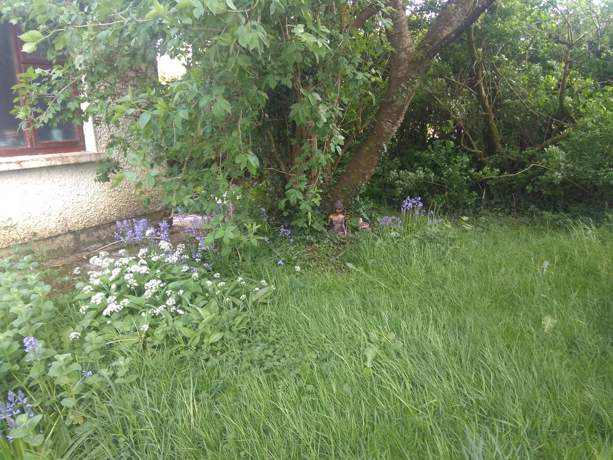 <a href="/DimoniCent/">Dimònit del Cèntim</a> <a href="/pepxabiagen/">Pep</a> <a href="/salcofa/">Salva Colechà</a> <a href="/rakelises/">Raquel 🍊</a> <a href="/diegovicent6/">diegovicent</a> <a href="/tonilacota1/">tonilacota</a> <a href="/SompivoroJr01/">El Raton Colorao</a> @isetasocjo <a href="/VictriaRoca1/">Toia</a> <a href="/moreres/">pep ximo</a> <a href="/quinacarafas/">Hoscar 🍊</a> @PacoPaac <a href="/CharoPardo4/">Charo Pardo</a> <a href="/pepetoles460_00/">Jose</a> <a href="/Xiketameua/">🚴‍♀️Xiqueta Fallera🍊</a> <a href="/Jaume89060397/">Jaume Açagra</a> <a href="/MorenoCafeteria/">Cafetería Moreno</a> <a href="/blacknote69/">Josep Martí</a> @LaraAntipovabcn @cocademolletes <a href="/groucho2012/">SR. Delaney</a> <a href="/agossarat/">Pere Moll Torres</a> <a href="/LidiaSauraB/">Lidia Saura</a> <a href="/pepetoles460/">Jose Giner</a> <a href="/sentovicent/">vicent Diego </a> <a href="/rosabeleta/">Laqueparletortosí.</a> <a href="/Ximo_Xen/">🔥 Mandarín 🔥</a> <a href="/comoju/">Cova Morales</a> <a href="/Rafael_lop/">Rafel</a> <a href="/noeml77/">Lucrecia Borja</a> @Spirit69Hams <a href="/angelgalway/">Mr. Collins.</a> <a href="/elgotet/">Juanj__o</a> <a href="/EliasLM84/">Elías Lpz Mrtnz</a> <a href="/Ninio_Cantor/">Iron Hams</a> <a href="/marcmaraton/">maratonianoveloz</a> <a href="/blancaovd/">“AsturVal”</a> <a href="/sersalvatge/">Jose Tomàs🔻</a> @SrLluisTomas <a href="/carapantalla/">carapa</a> <a href="/vicentcanyeta/">Canyeta</a> <a href="/delsenyoret/">Arròs del senyoret</a> <a href="/SompivoroJr/">El Raton Colorao</a> <a href="/brainhamster/">Hàmster Brain</a> A la porta de casa...all salvatge, menta i campanilles... i el Budha