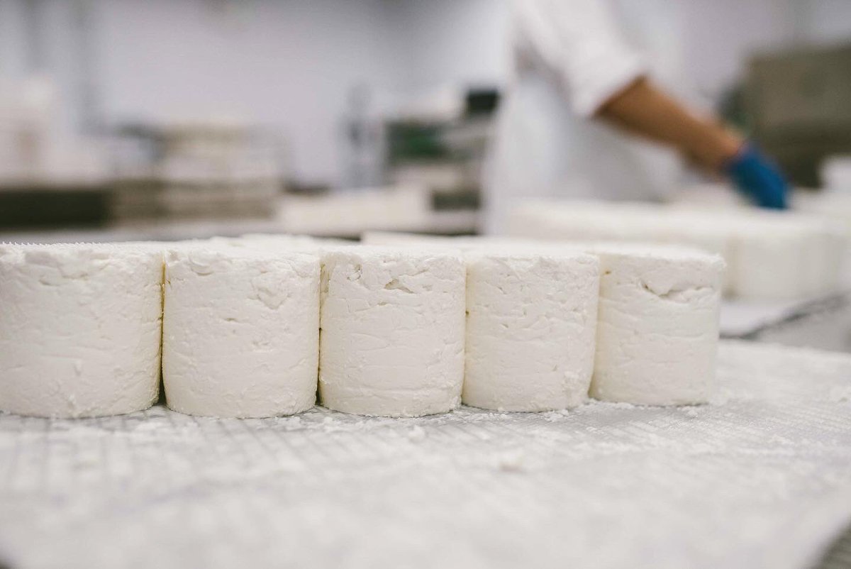 Did you know we have a dairy based in Worcestershire? Otherwise known as Cheese Cellar Dairy 🧀
Our very own cheesemaking operation is headed up by the young, clever and charming George Bramham. 5 award winning goats cheeses - a perfect addition to your cheeseboard 👌🏼