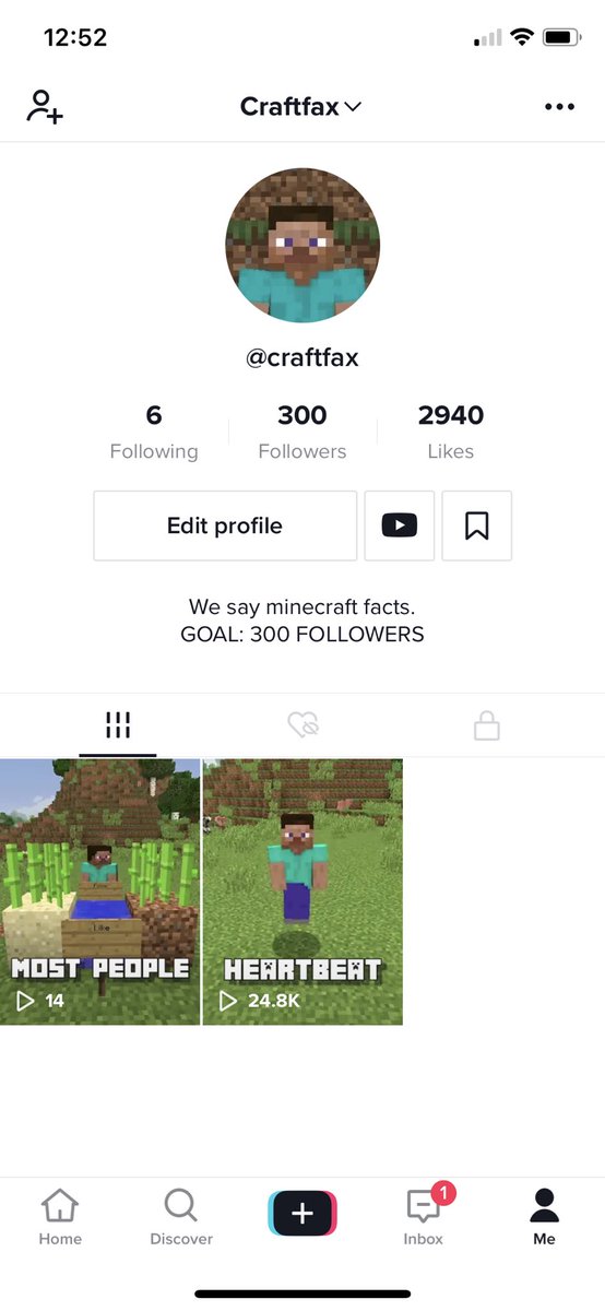 craftfaxx's tweet photo. thank you for 300 followers! you guys are awesome 😂 https://t.co/AoGrbC6qs7