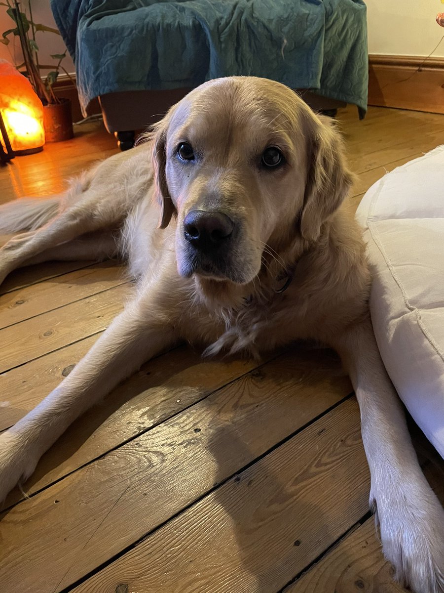 Mark Edwards tweet media