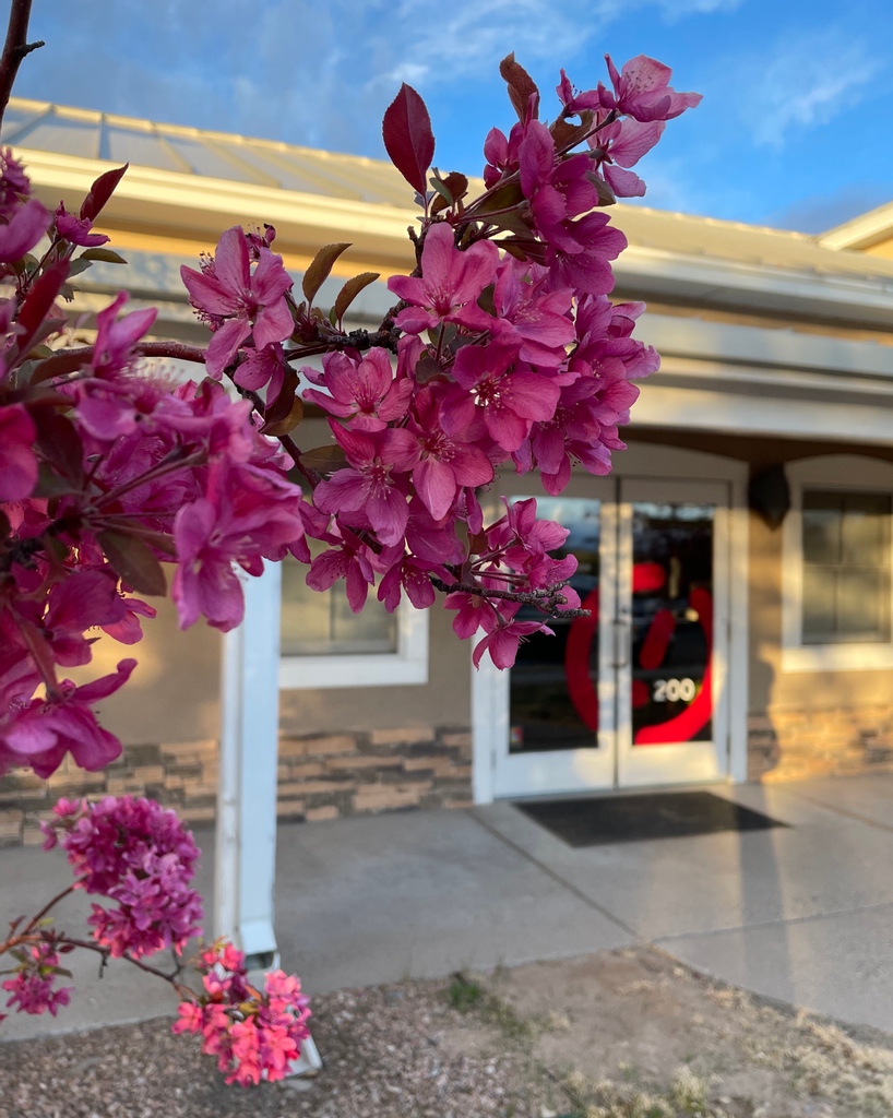 CisnerosDesign's tweet image. Drop an emoji if you are a spring person 💐

#CisnerosDesign #SimplySantaFe