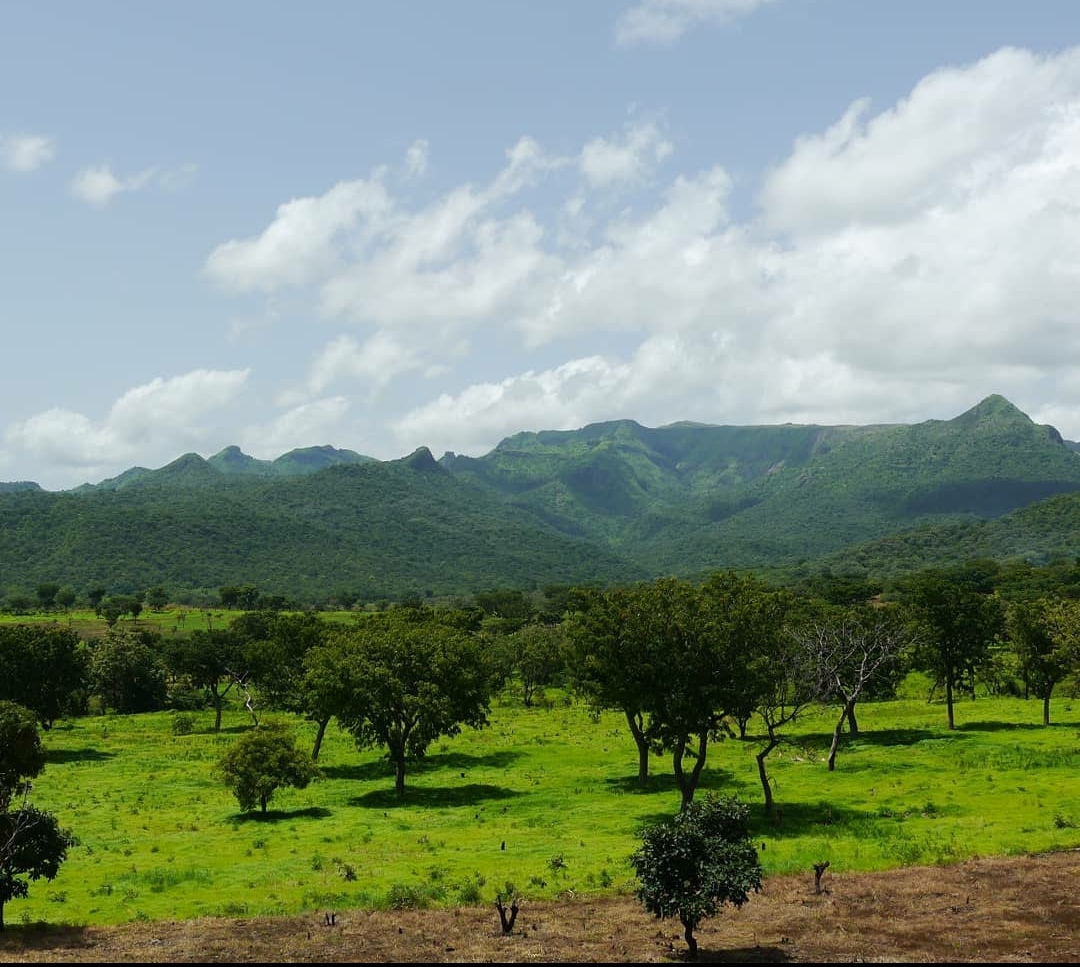 3- Mont Mbapit de 2000 m, (Ouest)/ Mont Ngah Ha de 1900 m, (Adamaoua)