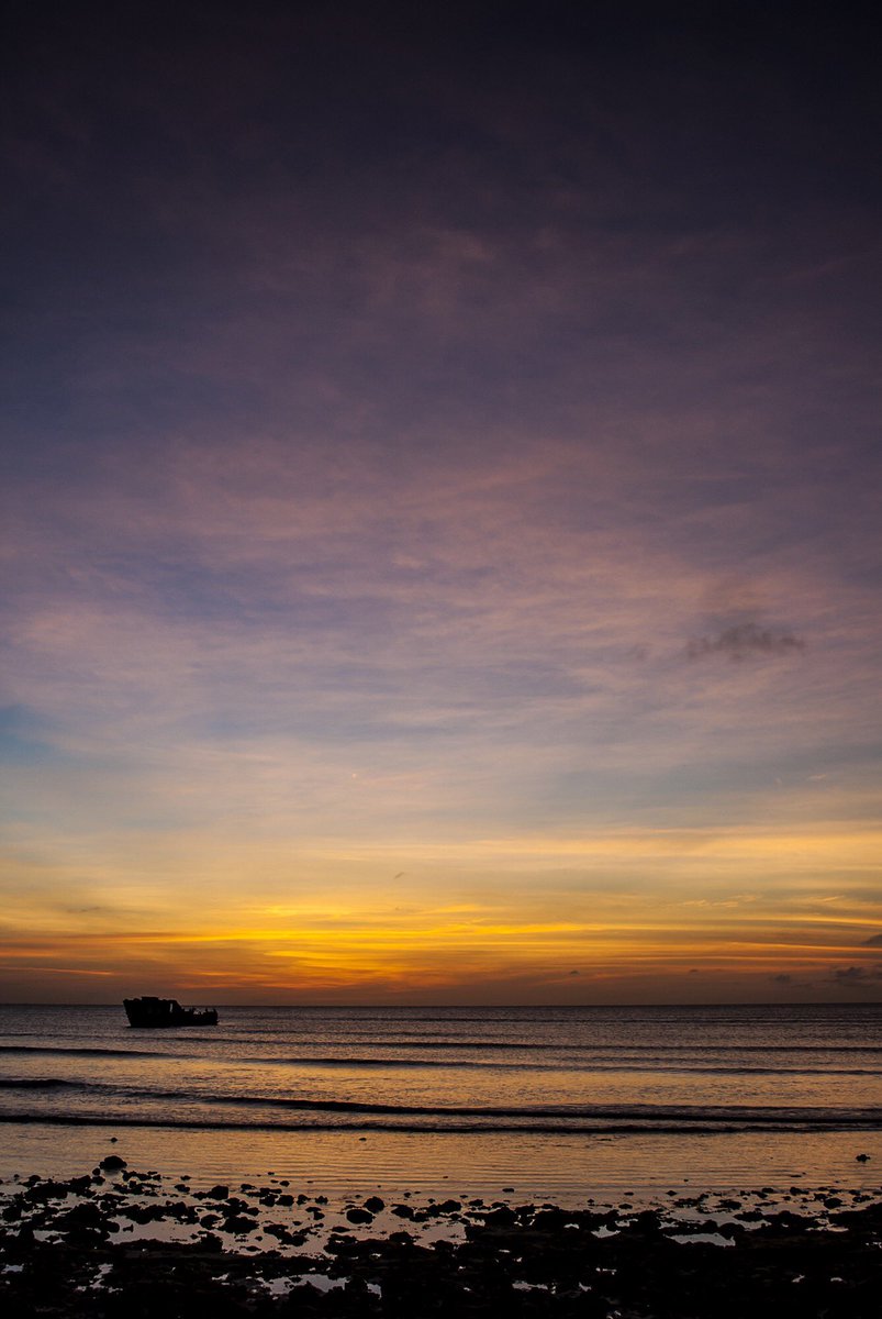 세로사진 미리보기 기념 🥳 Aruba