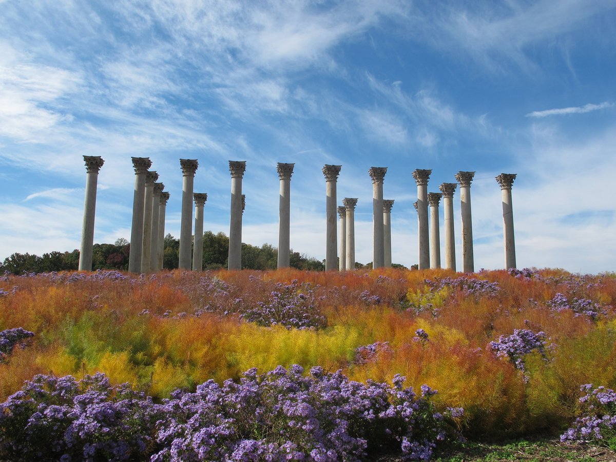 Catching Up: ANC, Bathrooms, Mail, Arboretum, Trash districttrinidadian.blogspot.com/2021/05/catchi…