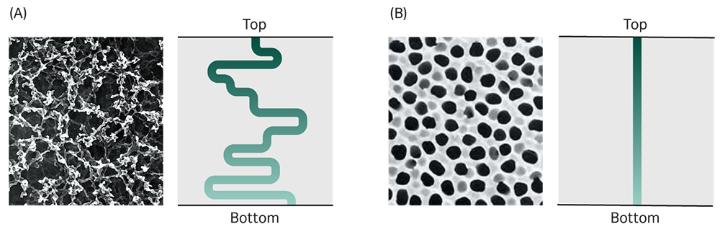 Ranelegh's tweet photo. Learn about the major applications of Anopore membranes and how they can increase the purity or yield of your analyte. https://t.co/fe8MaO8kA8 https://t.co/KnGDS8i6MR