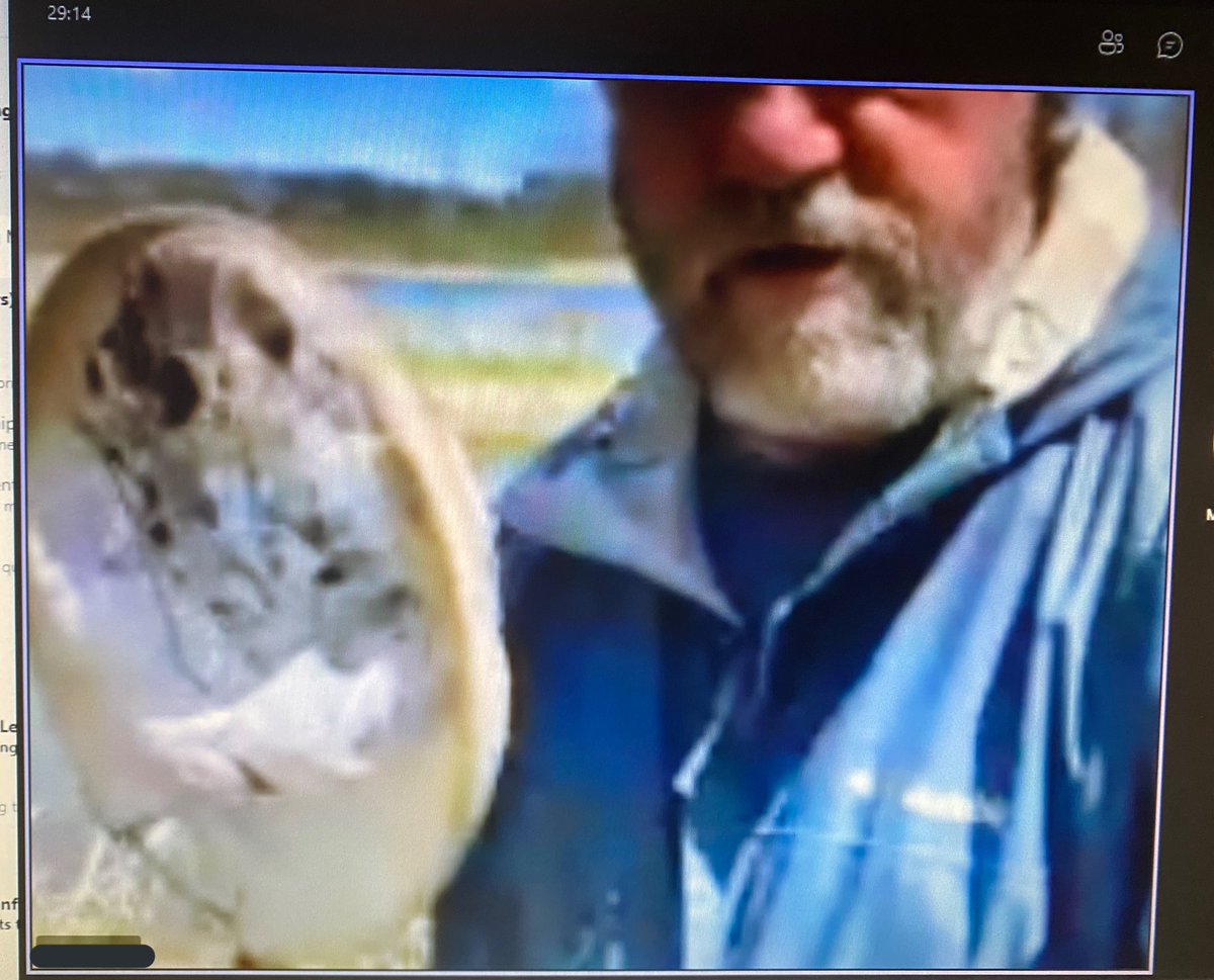 olofcatholic's tweet image. It may have been a virtual visit only, but thank you to Apps Mill for the opportunity to visit and explore this beautiful place and engage in talk with your experts 🌿 #learningremotely #appsmill #naturetalk