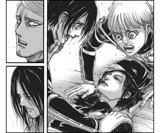 on his own shoulders, so as not to be the prey locked up like cattle behind walls. »"It is through Sasha that Isayama supports his point, showing nature is governed by the law of the strongest. Sasha is the predator, but becomes the prey the moment she spares Gaby. "